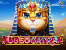 Kitty casino game. Kocaeli ofis iş ilanları.13